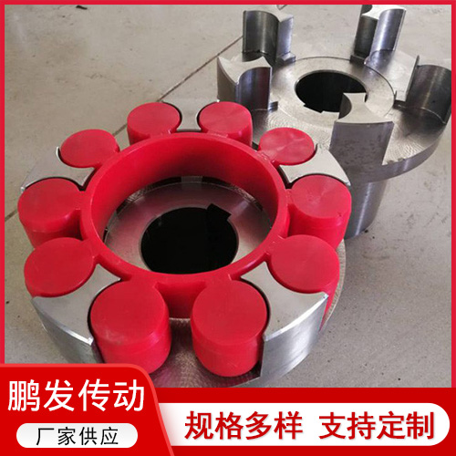 5爪ML梅花联轴器
